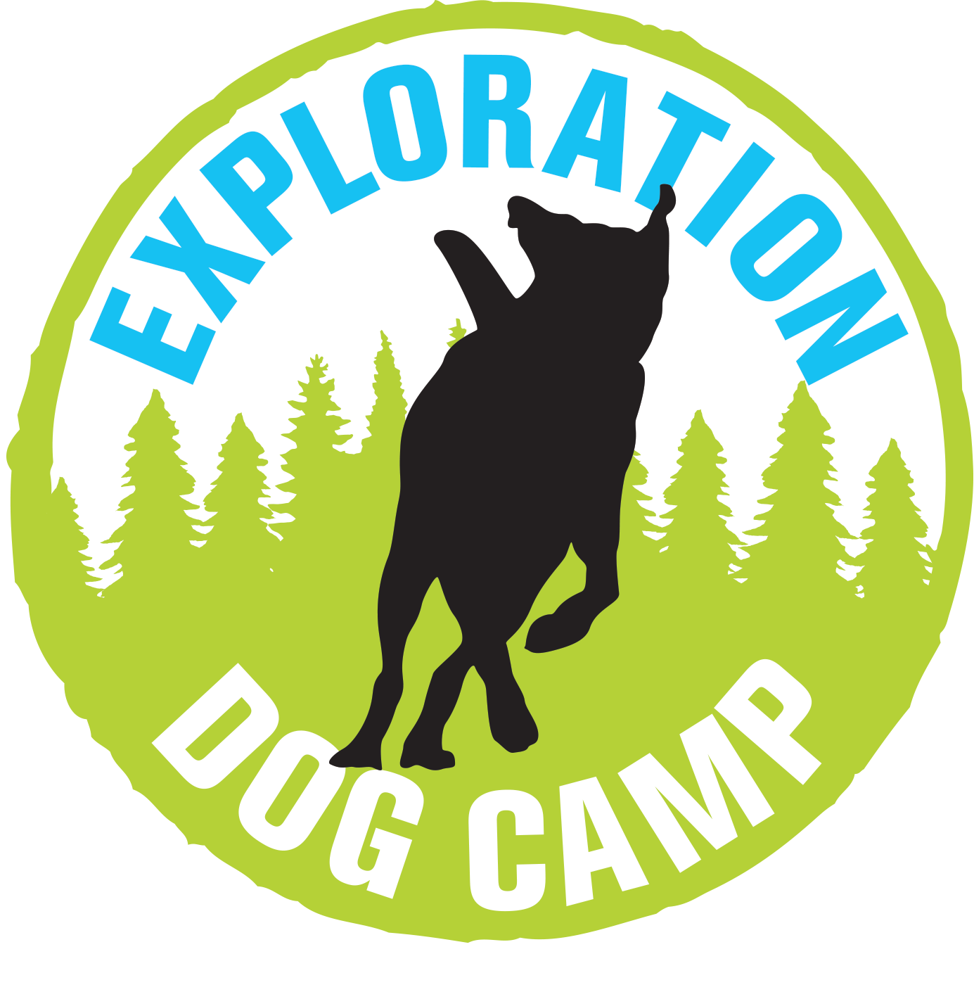 Exploration Dog Camp